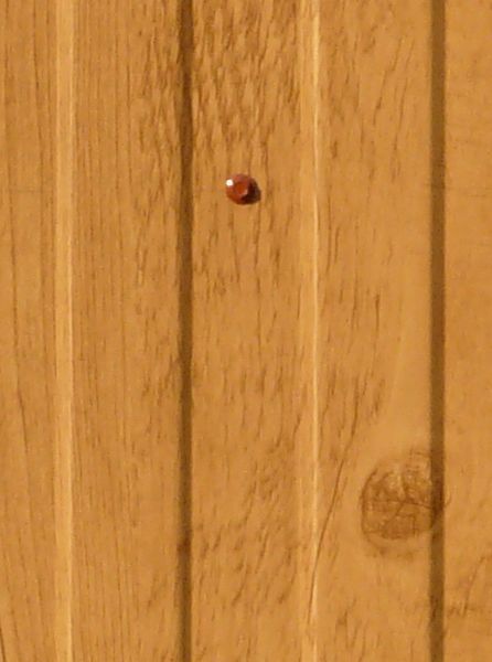 New wood paneling with embedded vertical pattern and installed with screws.